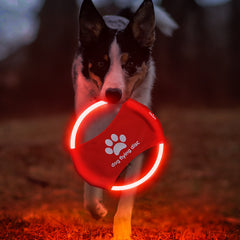 LED leteći disk za pse