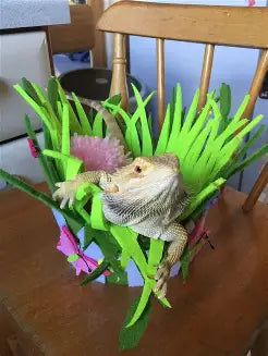 OPREMA ZA REPTILE I VODOZEMCE
