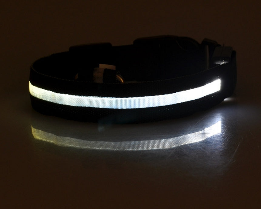 LED ogrlica #2