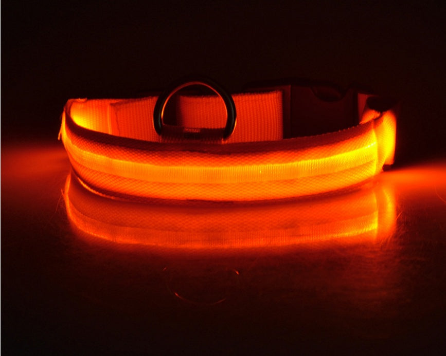 LED ogrlica #2