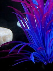 1pc Artificial Aquatic Plant, Aquarium Decor, Fish Tank Accessories