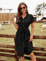 SHEIN LUNE Solid Button Front Belted Shirt Dress,Business Casual Woman