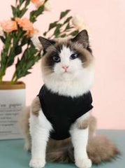 1pc Letter Print Pet Cat Vest, Thin Breathable Sleeveless Dog Clothes, Casual Summer Pet Apparel For Cats & Small Dogs Like Pomeranian, Pug, Bulldog
