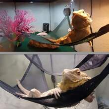 Triangle Pet Hammock, Foldable Net Bearded Dragon Hammock With Suction Cups, Soft Breathable Washable Hanging Bed For Small And Large Lizards, Chameleons, Or Reptiles