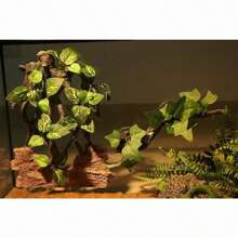 1/2pcs Plant Decoration For Amphibian Lizard Snake Climbing, Realistic Terrarium Plant Decoration With Suction Cup Resin Gecko Tank Accessories