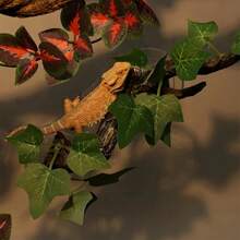 1/2pcs Plant Decoration For Amphibian Lizard Snake Climbing, Realistic Terrarium Plant Decoration With Suction Cup Resin Gecko Tank Accessories
