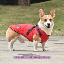 Small Dog Winter Clothes With Harness Vest, Pet Warm Padded Coat