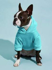 PETSIN 1pc Pet Thermal Lined Warm Sweatshirt, Light Blue
