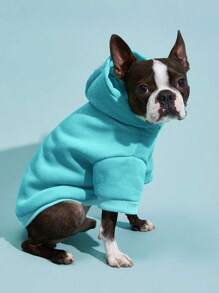 PETSIN 1pc Pet Thermal Lined Warm Sweatshirt, Light Blue