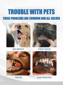 YEGBONG 1 Bottle 60ml Pet Tartar Remover, Removes Tartar, Yellow Teeth, Bad Breath, Cleans Teeth, Oral Foam Cleaner