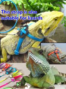 1pc Adjustable Pet Turtle Leash, Lizard Leash, Turtle Leash Paired With Scooter For Quick Riding, Finger Scooter, Turtle Scooter, Parrot Scooter, Lizard Scooter, Small Pet Scooter Toy