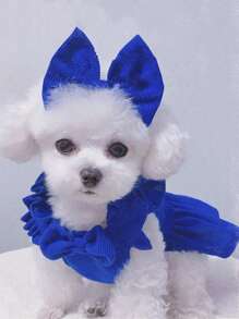 Pet Clothes With Hair Clip, Recommended To Choose One Size Up, Suitable For Small Dogs, Red Corduroy Dress With Bowknot