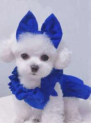Pet Clothes With Hair Clip, Recommended To Choose One Size Up, Suitable For Small Dogs, Red Corduroy Dress With Bowknot
