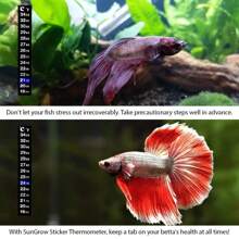 1pc Mini Aquarium Automatic Thermostat Rod + 1pc Digital Temperature Combo