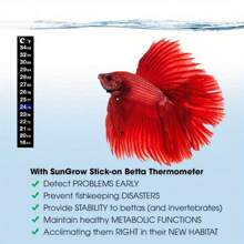 1pc Mini Aquarium Automatic Thermostat Rod + 1pc Digital Temperature Combo