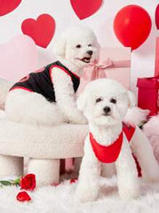 PETSIN 1pc I Love Mom Heart Print Pet Dog/Cat Vest