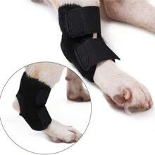 Hippyboyd Dog Leg Injury Joint Support Brace, Post-Surgery Recovery Bandage, Suitable For Pet Knee Injury, Sprain And Rehabilitation Protection