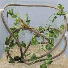 Reptile Jungle Climbing Set - Flexible Vines And Leaves With Suction Cups, For Habitat Decor - Durable Material For All Seasons - Ideal For Chameleons, Lizards, Geckos To Climb