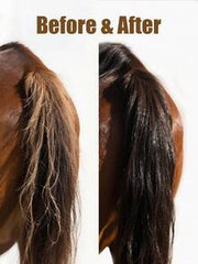 GJYC PET Horse Mane And Tail Nourishing Oil – Strengthens, Repairs Split Ends & Adds Shine – 5 Essential Oils Blend With Jojoba, Coconut, Olive, Grape Seed & Sweet Almond – Leave-In Conditioning Treatment, Fruity Melon Scent – 3.38 Fl Oz (100 Ml)