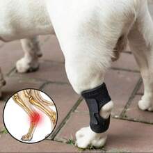Hippyboyd Dog Leg Injury Joint Support Brace, Post-Surgery Recovery Bandage, Suitable For Pet Knee Injury, Sprain And Rehabilitation Protection
