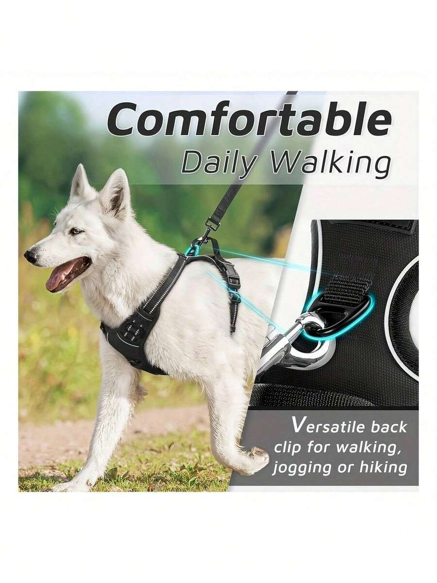 Set od 2 komada reflektivnih amova za pse i povodca od 1,5 m