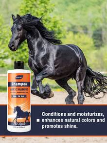 GJYC PET Equine Horse Shampoo – Conditions & Moisturizes Coat, Mane & Tail, Enhances All Coat Colors, Promotes Shine, For All Horses & Pets, PH Balanced, 17 Fl Oz