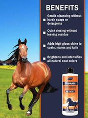 GJYC PET Equine Horse Shampoo – Conditions & Moisturizes Coat, Mane & Tail, Enhances All Coat Colors, Promotes Shine, For All Horses & Pets, PH Balanced, 17 Fl Oz