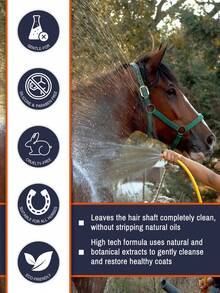 GJYC PET Equine Horse Shampoo – Conditions & Moisturizes Coat, Mane & Tail, Enhances All Coat Colors, Promotes Shine, For All Horses & Pets, PH Balanced, 17 Fl Oz