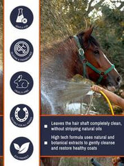 GJYC PET Equine Horse Shampoo – Conditions & Moisturizes Coat, Mane & Tail, Enhances All Coat Colors, Promotes Shine, For All Horses & Pets, PH Balanced, 17 Fl Oz