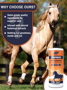 GJYC PET Equine Horse Shampoo – Conditions & Moisturizes Coat, Mane & Tail, Enhances All Coat Colors, Promotes Shine, For All Horses & Pets, PH Balanced, 17 Fl Oz
