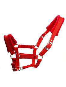 Wear-Resistant Webbing Horse Bridle, Bridle, Equestrian Bridle, Horse Stable Equipment, Horse Walking Leash, Webbing Bridle