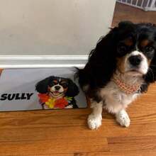 1pc Custom Pet Food Mat, Personalized Pet Photo + Name Mat, Personalized Dog Feeding Mat, Custom Cat Floor Placemat, Unique Gift For Pet Lovers, Ideal For Birthday