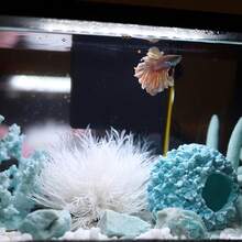 Artificial White Lily - Polyethylene Aquarium Decor