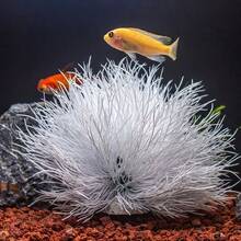 Artificial White Lily - Polyethylene Aquarium Decor