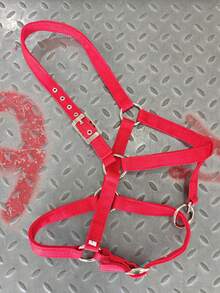 Wear-Resistant Webbing Horse Bridle, Bridle, Equestrian Bridle, Horse Stable Equipment, Horse Walking Leash, Webbing Bridle