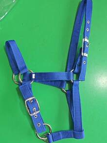 Wear-Resistant Webbing Horse Bridle, Bridle, Equestrian Bridle, Horse Stable Equipment, Horse Walking Leash, Webbing Bridle