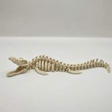 Realistic Mosasaurus Skeleton Replica For Aquarium Decor - Large Dinosaur Fossil Model With White Fins And Tail, For Fish Tank Decoration, Marine Reptile Display, Paleontology Themed Gift, Suitable For Collectors And Aquarium Hobbyists (Suitable For Fish)