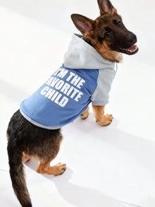 LUCKIE LABO 1pc Patchwork Minimalist "I'M THE FAVORITE CHILD" Slogan Print Cat & Dog Polyester Hoodie, Flea Resistant, Shed Reducing, Warm & Breathable, Suitable For Indoor & Outdoor Pets