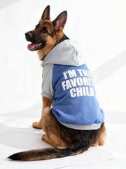 LUCKIE LABO 1pc Patchwork Minimalist "I'M THE FAVORITE CHILD" Slogan Print Cat & Dog Polyester Hoodie, Flea Resistant, Shed Reducing, Warm & Breathable, Suitable For Indoor & Outdoor Pets