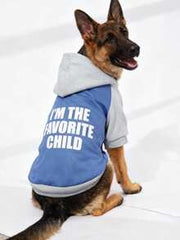 LUCKIE LABO 1pc Patchwork Minimalist "I'M THE FAVORITE CHILD" Slogan Print Cat & Dog Polyester Hoodie, Flea Resistant, Shed Reducing, Warm & Breathable, Suitable For Indoor & Outdoor Pets