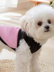 Personalized Mesh Pet Vest, Custom Pet Clothing, Comfortable And Breathable Design, Breathable Springs, Cat Harness With Paw Print Pattern And Leash, Lightweight And Customizable Pet Clothing, Pet Supplies.