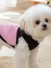 Personalized Mesh Pet Vest, Custom Pet Clothing, Comfortable And Breathable Design, Breathable Springs, Cat Harness With Paw Print Pattern And Leash, Lightweight And Customizable Pet Clothing, Pet Supplies.