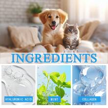 1Pc 100ml Pet Shampoo, For Cleaning The Head And Eliminating Odors All Over The Body. A Universal Shampoo For Cats And Dogs