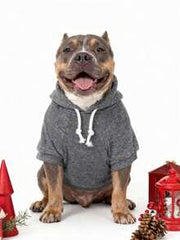 LUCKIE LABO 1pc Fleece Slogan Print Gray Hoodie, Suitable For Chihuahua Winter Warm Dog Clothes, Applicable For Cats And Dogs Indoor And Outdoor