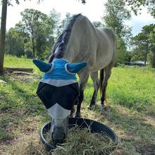 1pc New Breathable Fly Mask, Anti-Mosquito Anti-Fly Horse Face Mask, Horse Riding Accessories, Protects Eyes And Ears