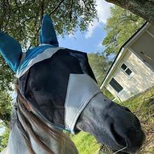 1pc New Breathable Fly Mask, Anti-Mosquito Anti-Fly Horse Face Mask, Horse Riding Accessories, Protects Eyes And Ears