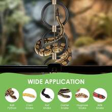 Reptile Climbing Ring, Ball Python Climbing Chain Toy, Glass Container Cage Decor Accessories Suitable For Corn Snake, Hognose Snake, Bearded Dragon, Lizard, Chameleon, Parrot