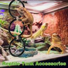 Reptile Climbing Ring, Ball Python Climbing Chain Toy, Glass Container Cage Decor Accessories Suitable For Corn Snake, Hognose Snake, Bearded Dragon, Lizard, Chameleon, Parrot