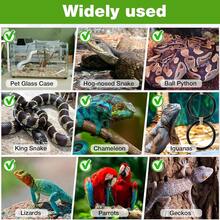 Reptile Climbing Ring, Ball Python Climbing Chain Toy, Glass Container Cage Decor Accessories Suitable For Corn Snake, Hognose Snake, Bearded Dragon, Lizard, Chameleon, Parrot