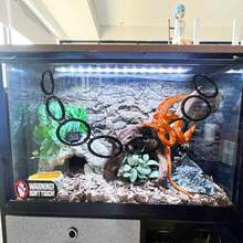 Reptile Climbing Ring, Ball Python Climbing Chain Toy, Glass Container Cage Decor Accessories Suitable For Corn Snake, Hognose Snake, Bearded Dragon, Lizard, Chameleon, Parrot